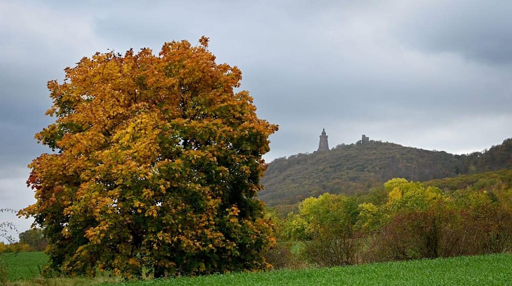 Thüringen ist im Oktober das zweitkühlste Bundesland.  / Foto: Heiko Rebsch/dpa