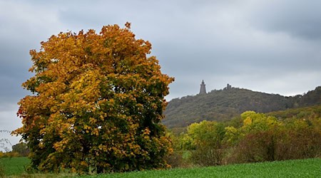 Thüringen ist im Oktober das zweitkühlste Bundesland.  / Foto: Heiko Rebsch/dpa