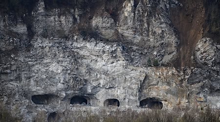 Umweltschützer fürchten durch Probebohrungen Auswirkungen auf die seltenen Gipskarstformationen im Harz. (Archivbild) / Foto: Swen Pförtner/dpa