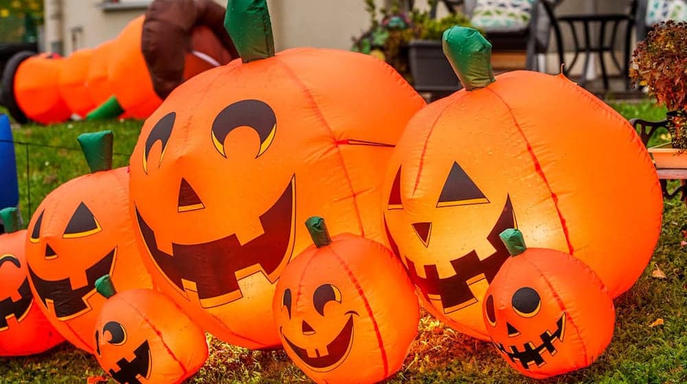 In Thüringen würden u.a. Spielwaren, Lebensmittel, Deko, Schminke und Kostüme für das Halloween-Fest gekauft. / Foto: Andreas Arnold/dpa