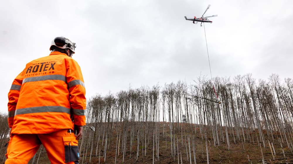 Ein Hubschrauber hilft beim Bergen von Bäumen an dem Steilhang bei Sonneberg. (Archivbild) / Foto: Michael Reichel/dpa