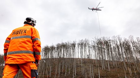 Ein Hubschrauber hilft beim Bergen von Bäumen an dem Steilhang bei Sonneberg. (Archivbild) / Foto: Michael Reichel/dpa