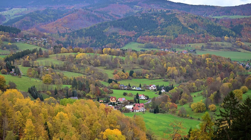 In Thüringen gibt es weniger reine Fichtenwälder - und mehr Laubwald. Das ist das Ergebnis einer Inventur. (Archivbild) / Foto: Martin Schutt/dpa