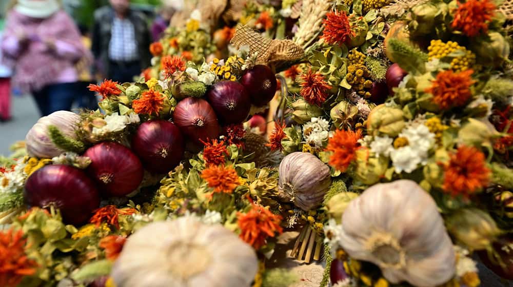 Zum 371. Weimarer Zwiebelmarkt öffnen wieder rund 400 Händler und Aussteller ihre Verkaufsstände. (Archivbild) / Foto: Martin Schutt/dpa