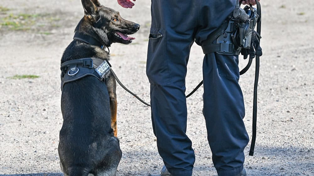 Die Suche nach der 36-jährigen Vermissten bleibt auch mit Hundestaffel bislang erfolglos. (Symbolbild) / Foto: Patrick Pleul/dpa