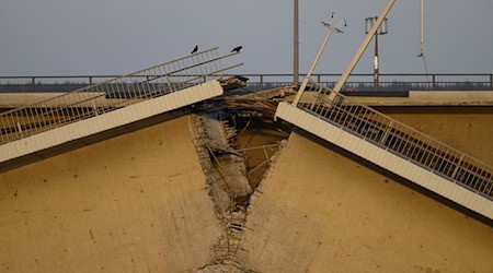 Nicht erst seit dem Einsturz der Dresdner Carolabrücke steht die Langlebigkeit von Betonbauwerken im Fokus. (Archivbild) / Foto: Robert Michael/dpa