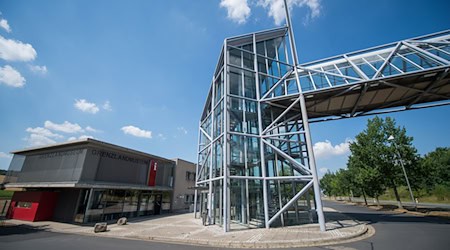 Das Museum soll künftig von einer Wärmepumpe und Solaranlagen versorgt werden. (Archivbild) / Foto: Arne Immanuel Bänsch/dpa