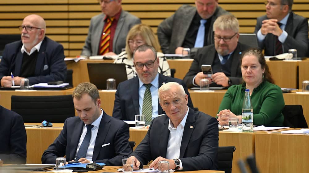 Die AfD fordert Entschädigungen für die Corona-Bußgelder.  / Foto: Martin Schutt/dpa