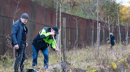 Seit 1990 wurden bereits mehr als 1.000 Bäume in die Erde gesetzt. / Foto: Michael Reichel/dpa