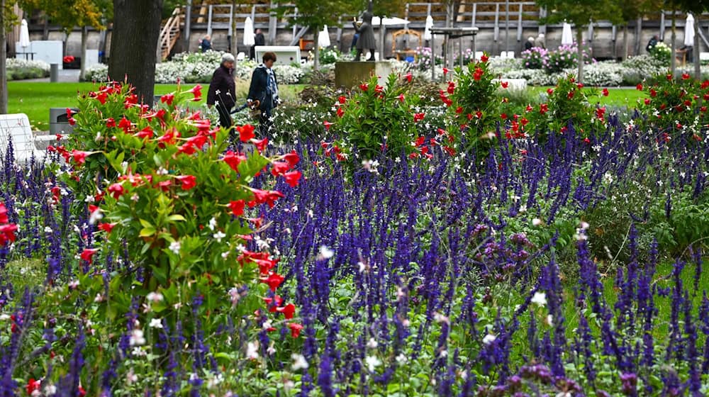 3,13 Millionen Euro aus Städtebauförderung für Landesgartenschau in Leinefelde-Worbis (Archivbild) / Foto: Heiko Rebsch/dpa