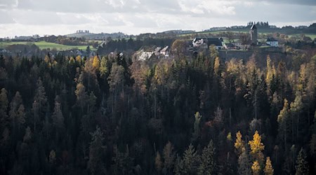 Der Landkreis Hof erwartet, dass die Frankenwaldbrücken in den ersten beiden Jahren bis zu 300.000 Besucherinnen und Besucher in die Region locken werden. (Symbolbild) / Foto: Daniel Vogl/dpa