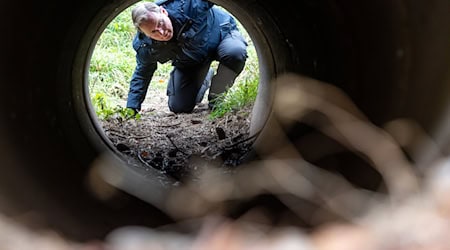 Bei einer Wanderung zum 35. Jahrestag des Mauerfalls kriecht Thüringens geschäftsführender Ministerpräsident Bodo Ramelow (Linke) durch eine Agentenschleuse des ehemaligen innerdeutschen Grenzzauns.  / Foto: Michael Reichel/dpa