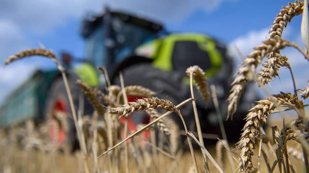 Ein Landwirt sorgt mit seinem Traktor für einen Stromausfall. (Symbolbild) / Foto: Klaus-Dietmar Gabbert/dpa