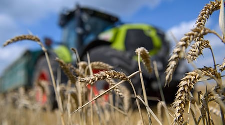 Ein Landwirt sorgt mit seinem Traktor für einen Stromausfall. (Symbolbild) / Foto: Klaus-Dietmar Gabbert/dpa