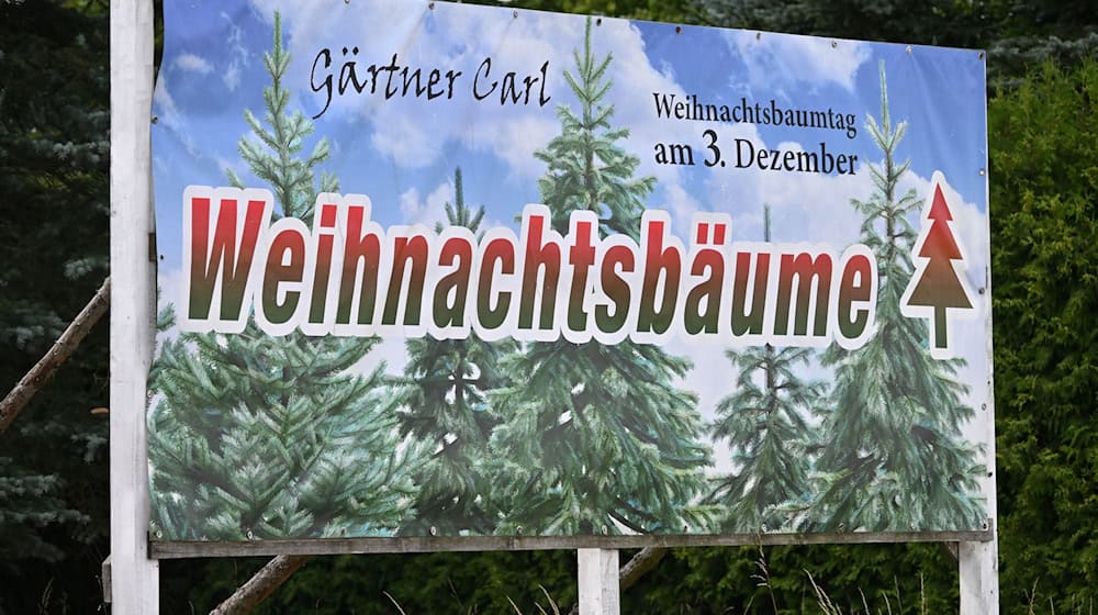 Weihnachtsbäume sind für viele Menschen in Thüringen ein Muss (Archivbild). / Foto: Martin Schutt/dpa