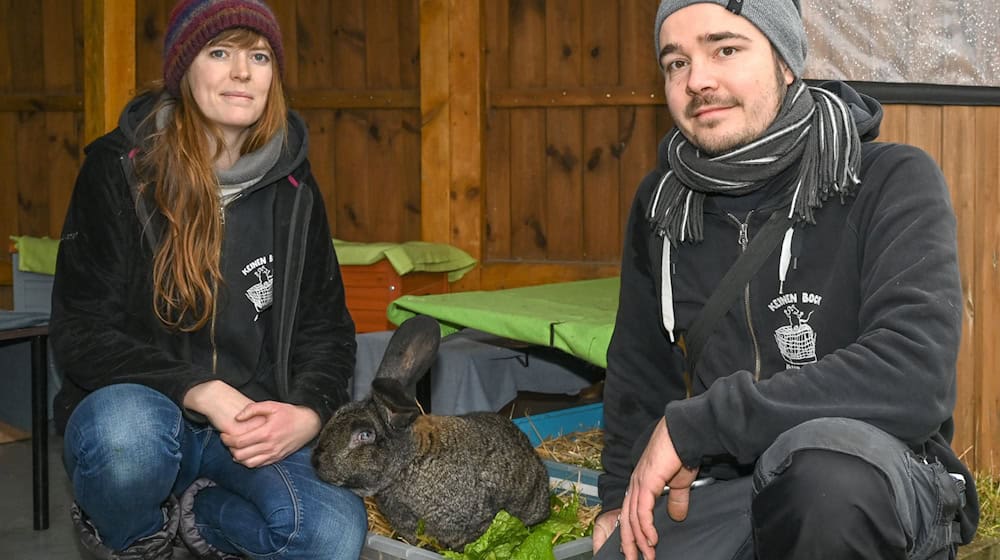 Natascha Junker und Rico Gürtler haben den gemeinnützigen Verein Burg Nagezahn gegründet. Im brandenburgischen Werneuchen hat der Verein ein Gelände, wo Nagetiere und Kaninchen in Not ein Zuhause finden können. (Archivbild) / Foto: Patrick Pleul/dpa-Zentralbild/ZB