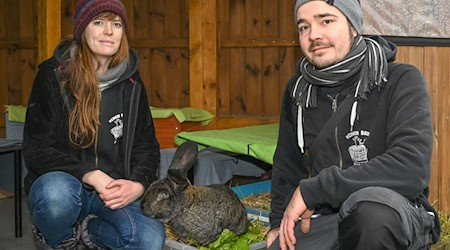 Natascha Junker und Rico Gürtler haben den gemeinnützigen Verein Burg Nagezahn gegründet. Im brandenburgischen Werneuchen hat der Verein ein Gelände, wo Nagetiere und Kaninchen in Not ein Zuhause finden können. (Archivbild) / Foto: Patrick Pleul/dpa-Zentralbild/ZB