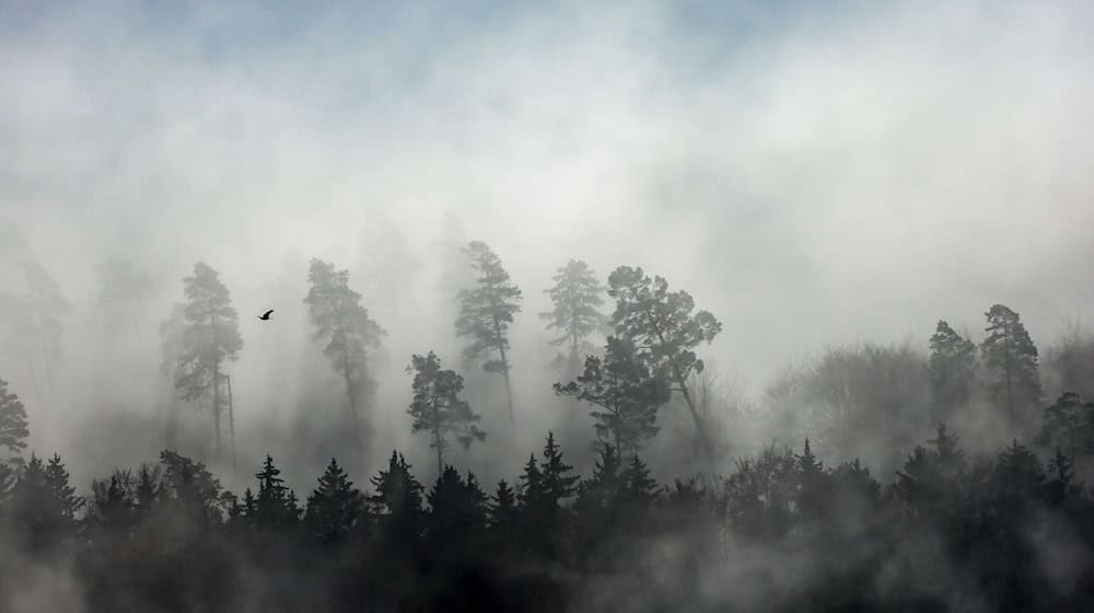 Das Wetter im Freistaat wird schmuddelig mit Regen und Nebel. (Archivbild) / Foto: Thomas Warnack/dpa