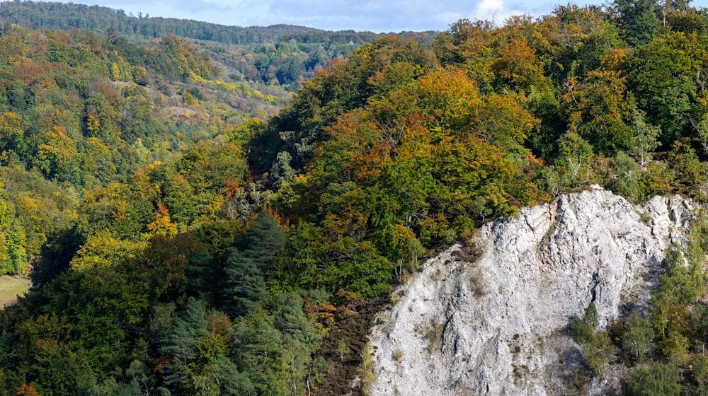 Das Biosphärenreservat Karstlandschaft Südharz soll nach dem Willen der Landesregierung auf die Liste der Unesco kommen. (Archivbild) / Foto: Hendrik Schmidt/dpa