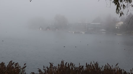 Bei Temperaturen unter dem Gefrierpunkt bildet sich in Thüringen nachts stellenweise Nebel und die Straßen werden glatt. (Symbolbild) / Foto: Bodo Schackow/dpa