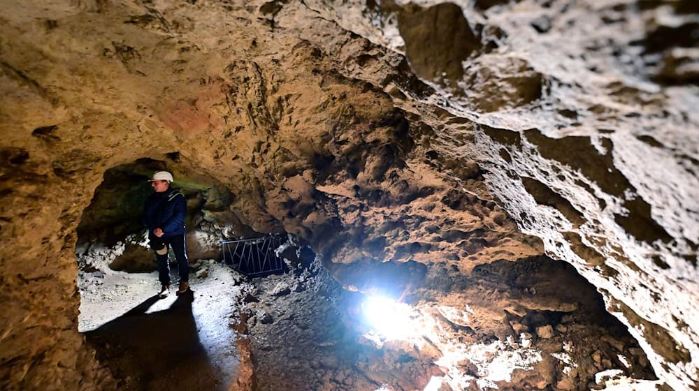 Erstes Jahr nach Wiedereröffnung der Altensteiner Höhle. / Foto: Martin Schutt/dpa