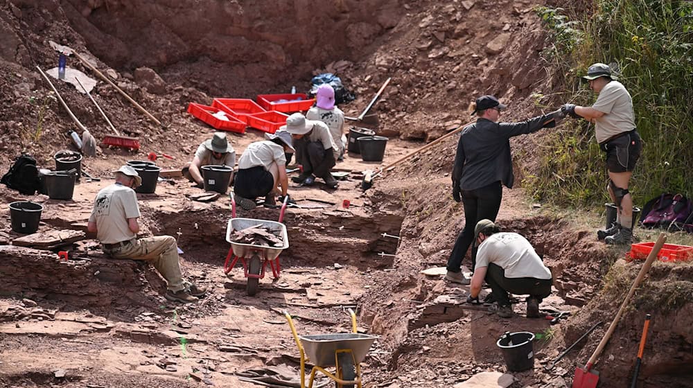 Wissenschaftler bei einer der Sommergrabungen an der Fossillagerstätte am Bromacker. Mehr als 1.500 Funde wurden bei den jährlichen Grabungen seit 2020 bereits geborgen. (Archivbild) / Foto: Martin Schutt/dpa