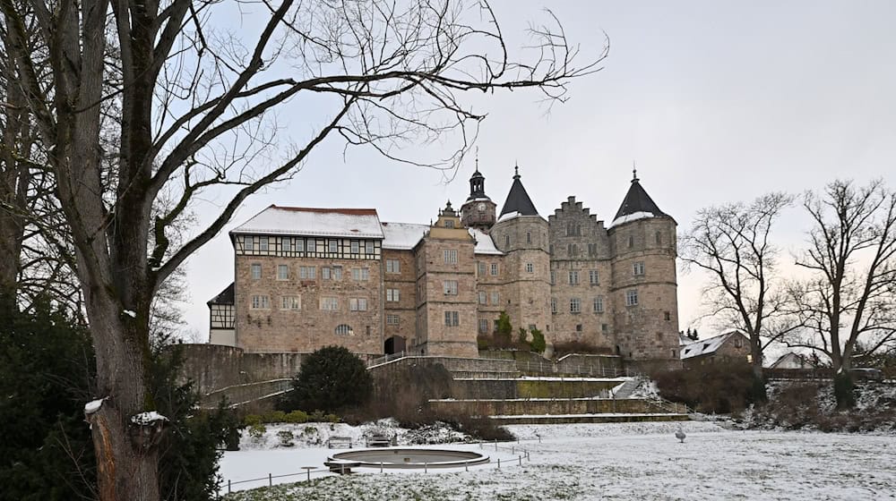 Unter anderem auf Schloss Bertholdsburg laufen Bauarbeiten. (Archivbild) / Foto: Martin Schutt/dpa