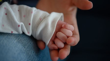 Künstliche Befruchtungen können kostspielig sein, eine Stiftung in Thüringen unterstützt Paare bei der Kinderwunschbehandlung. (Symbolfoto) / Foto: Sebastian Gollnow/dpa