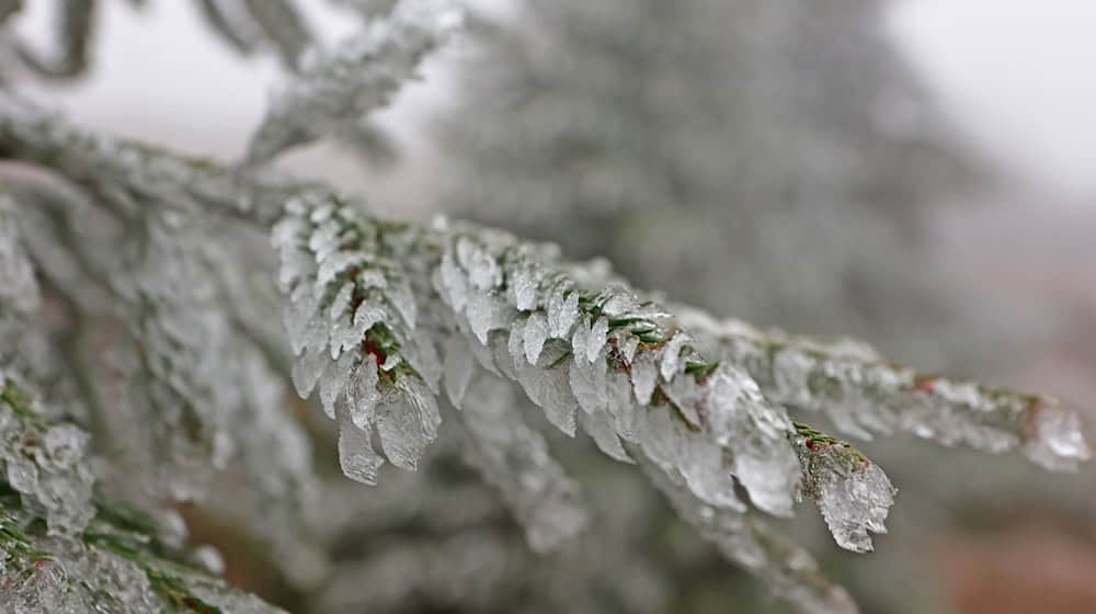 Es wird frostig in Thüringen. (Symbolbild) / Foto: Matthias Bein/dpa