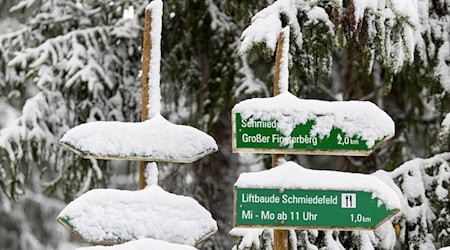 So wünschen sich Winterurlauber den Thüringer Wald (Symbolfoto). / Foto: Michael Reichel/dpa