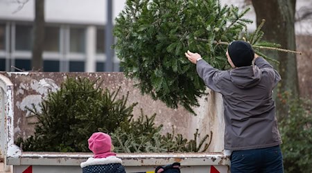 Die Thüringer Landesforstanstalt macht deutlich: In den Wald gehören ausgediente Christbäume nicht. (Symbolbild) / Foto: Robert Michael/dpa/dpa-tmn