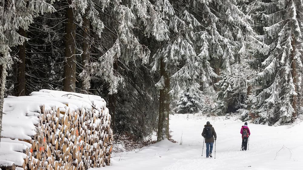 Regen, Schnee und Sonne: Der Januar war in Thüringen zu mild und zu nass. (Archivbild) / Foto: Michael Reichel/dpa