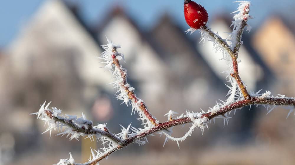 In Thüringen startet die Woche mit Sonne und Frost. (Foto: Archiv) / Foto: Michael Reichel/dpa