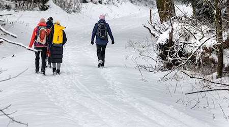 Manche Menschen nutzen den Schnee für Winterwanderungen. / Foto: Michael Reichel/dpa