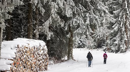 Schneefans dürften am Wochenende auf ihre Kosten kommen. (Archivbild)  / Foto: Michael Reichel/dpa