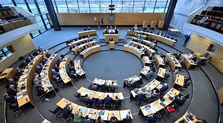 Im Thüringer Landtag diskutierten die Abgeordneten über einen Antrag der Linke-Fraktion für ein AfD-Verbotsverfahren. (Archivbild) / Foto: Martin Schutt/dpa