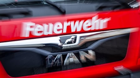 Im Kreis Saalfeld-Rudolstadt mussten Feuerwehren zu Waldbränden ausrücken (Symbolfoto). / Foto: Jens Büttner/dpa