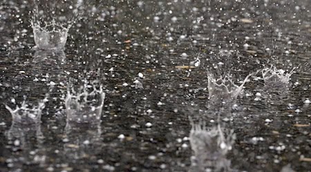 Der DWD erwartet in Thüringen kräftige Gewitter - teils mit Starkregen. (Archivbild) / Foto: Patrick Seeger/dpa