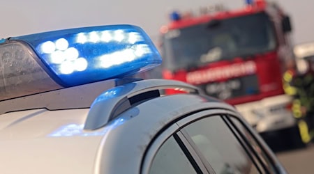 Der Fahrer wurde bei dem Unfall nur leicht verletzt. (Symbolbild)  / Foto: Matthias Bein/dpa