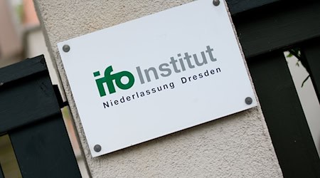 Ifo Institut: US-Zölle trüben Stimmung ostdeutscher Unternehmen (Symbolbild). / Foto: Arno Burgi/dpa-Zentralbild/dpa