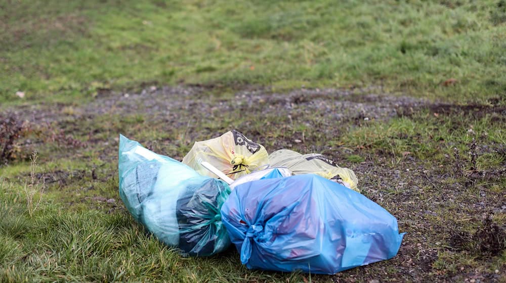 Der Kampf gegen illegal entsorgten Müll im öffentlichen Raum beschäftigt Land und Kommunen. (Symbolbild) / Foto: Jan Woitas/dpa-Zentralbild/dpa