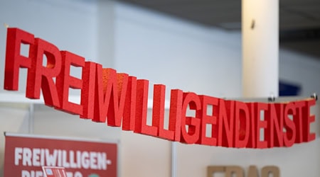 Mehr als 5.600 Kinder und Jugendliche wollen sich am 17. Thüringer Schülerfreiwilligentag beteiligen und damit so viele wie noch nie zuvor. (Archivbild) / Foto: Sebastian Kahnert/dpa