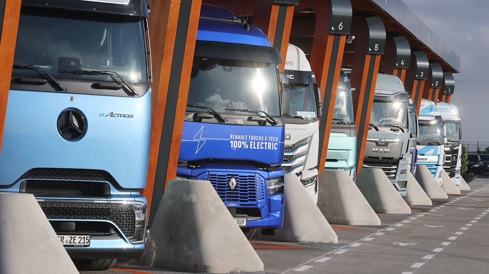 Verband verlangt Förderung von Lkw mit Elektroantrieb / Foto: Bodo Schackow/dpa
