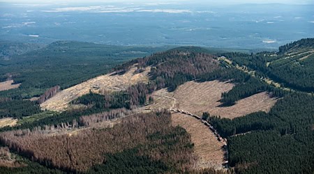 Am westlichen Harzrand soll nach den Rohstoffen gesucht werden (Archivbild). / Foto: Swen Pförtner/dpa