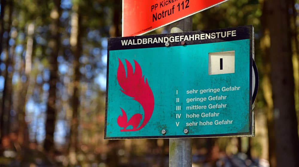 Die durch Brände geschädigte Waldfläche erreichte in Thüringen vergangenes Jahr ein 30-Jahres-Hoch. Flächendeckende Frühwarnsysteme hält der Landesforstbetrieb dennoch für unnötig. (Archivfoto) / Foto: Martin Schutt/dpa-Zentralbild/dpa