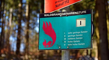 Die durch Brände geschädigte Waldfläche erreichte in Thüringen vergangenes Jahr ein 30-Jahres-Hoch. Flächendeckende Frühwarnsysteme hält der Landesforstbetrieb dennoch für unnötig. (Archivfoto) / Foto: Martin Schutt/dpa-Zentralbild/dpa