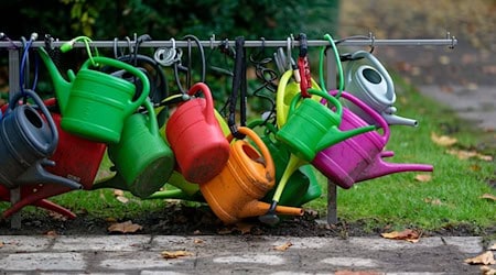 Um dem Diebstahl von Gießkannen zuvorzukommen, haben mehrere Thüringer Kommunen ein Pfand-System eingeführt. (Symbolbild) / Foto: Henning Kaiser/dpa