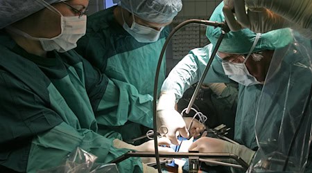 Es warten derzeit 132 Patientinnen und Patienten in Thüringen auf eine Niere - hier ist zu sehen wie bei einer Operation einem Spender eine Niere entnommen wird. (Archivbild) / Foto: Jan-Peter Kasper/ZB/dpa