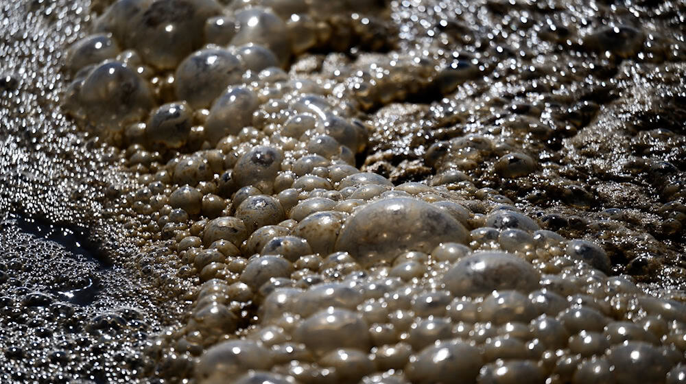 Abwasser ergoss sich in die Unstrut. (Symbolbild)  / Foto: Hendrik Schmidt/dpa