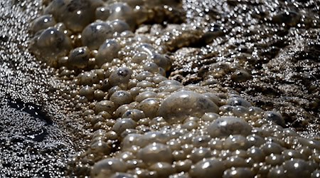 Abwasser ergoss sich in die Unstrut. (Symbolbild)  / Foto: Hendrik Schmidt/dpa